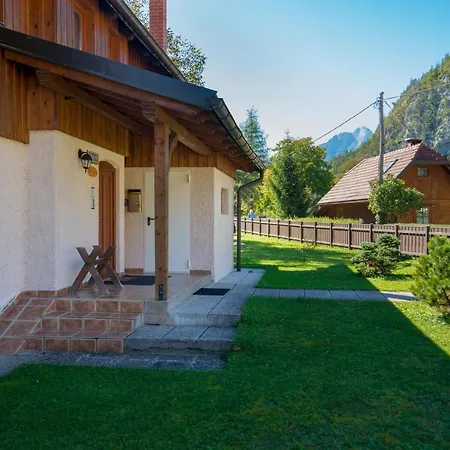 Zelenci Apartman *