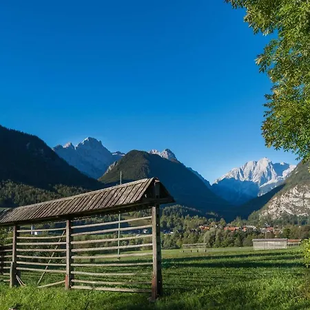 Zelenci Apartman