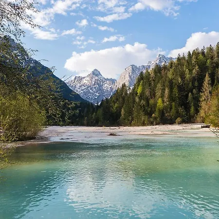 Zelenci Apartman