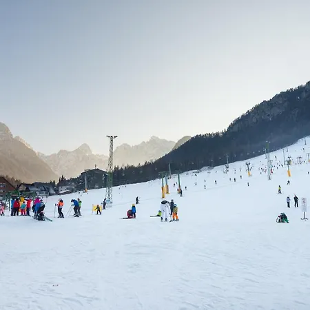 Zelenci *